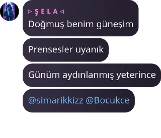 🪷 emoji Yıkılmayan Saltanat🇹🇷 pack by @QuotLyBot Telegram sticker 8 of 120