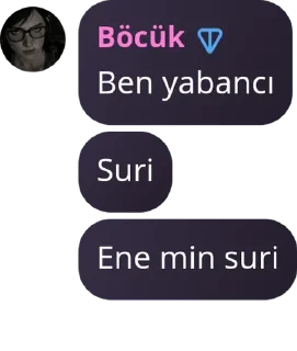 🙅 emoji Yıkılmayan Saltanat🇹🇷 pack by @QuotLyBot Telegram sticker 3 of 120