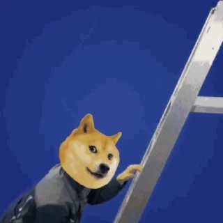 🌟 emoji Shiba climb Telegram sticker 3 of 26