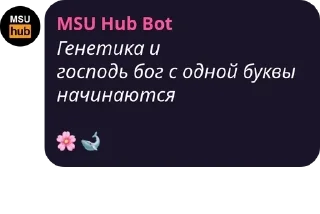 👩‍💻 emoji Созвон в силе pack by @QuotLyBot Telegram sticker 9 of 120