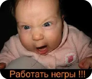 🌟 emoji Кулетяпка Telegram sticker 21 of 53