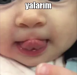🥰 emoji @Birdeliasena @AsenaUserBot Paketi 2 Telegram sticker 14 of 92