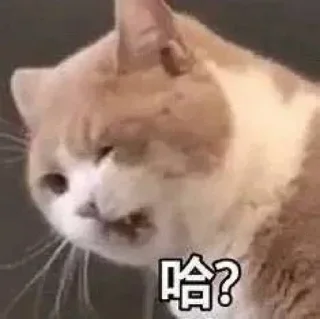 🤔 emoji 小思的常用表情包💞 @Wsnd666888 Telegram sticker 6 of 49