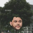 🌳 emoji The Weeknd Telegram sticker 19 of 120