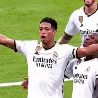 🤍 emoji 'Real Madrid | @iStickerLand, Telegram sticker 21 of 31