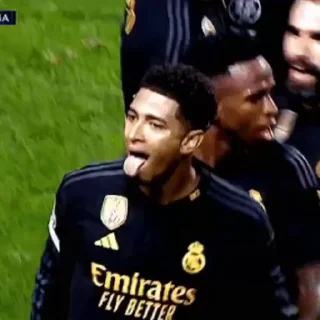 🤍 emoji 'Real Madrid | @iStickerLand, Telegram sticker 23 of 31