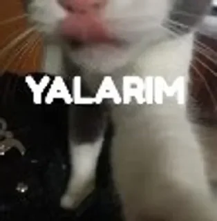 😛 emoji N A P İ M Telegram sticker 17 of 120