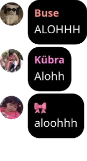 🧑‍🤝‍🧑 emoji Buse, Askbahcem💗 ve Kübra pack by @QuotLyBot Telegram sticker 8 of 37