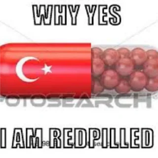 🇹🇷 emoji Kaj pa Telegram sticker 17 of 96