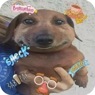Sticker from идзукуасовна че это