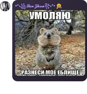 🧗‍♀️ emoji Лошки-петушки pack by @QuotLyBot Telegram sticker 3 of 84