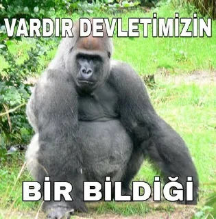 🤔 emoji @Cehennettin @AsenaUserBot Paketi 1 Telegram sticker 10 of 96