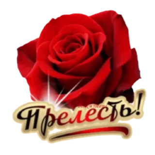 🌹 emoji Классные слова Telegram sticker 11 of 100
