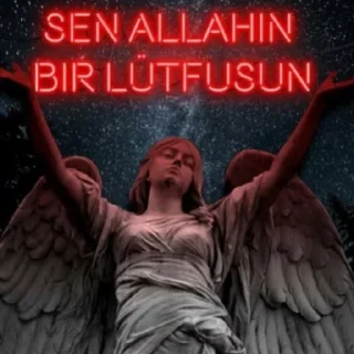 😍 emoji Can #GOKTURK'ın Arak Paketi  @cikartmaaraklayicibot Telegram sticker 11 of 69