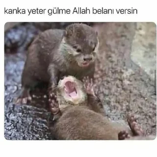 🤓 emoji @Bir_Beyfendi @AsenaUserBot Paketi 2 Telegram sticker 18 of 32