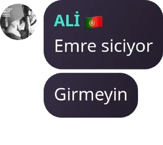 👩‍🤝‍👩 emoji Kurtlar Vadisi Pes 📳 pack by @QuotLyBot Telegram sticker 24 of 120