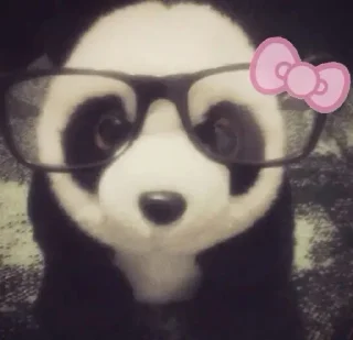 🐼 emoji @kapechto rio de janeiro Telegram sticker 3 of 47