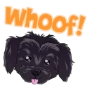 🐶 emoji Demi lovato stikers Telegram sticker 17 of 30