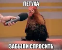 🐔 emoji #A̮ḫr̮ — @stckrRobot Telegram sticker 7 of 117