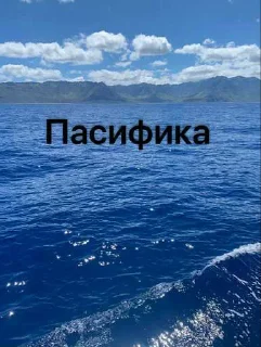 😍 emoji Сучки Бебиса ➡️ @Ctikerubot Telegram sticker 20 of 39
