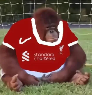 🔴 emoji Kick Orangutan Telegram sticker 15 of 24