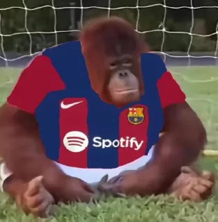 🔴 emoji Kick Orangutan Telegram sticker 6 of 24
