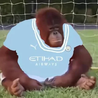 🔵 emoji Kick Orangutan Telegram sticker 9 of 24