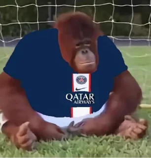 🗼 emoji Kick Orangutan Telegram sticker 19 of 24