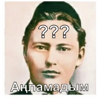 ⚪️ emoji Татарабу Telegram sticker 3 of 30