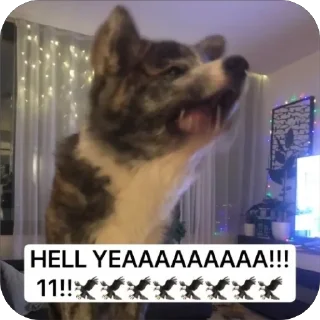 👍 emoji SQUARE MEMES от @Le_Pigeon1 Telegram sticker 16 of 61