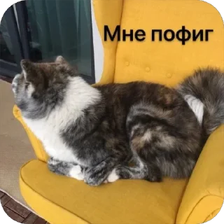 😴 emoji SQUARE MEMES от @Le_Pigeon1 Telegram sticker 12 of 61