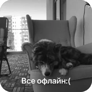 😢 emoji SQUARE MEMES от @Le_Pigeon1 Telegram sticker 19 of 61
