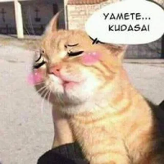 🤤 emoji my niggas Telegram sticker 14 of 37