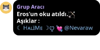 🏹 emoji CHARLIE'NIN MELEKLERİ pack by @QuotLyBot Telegram sticker 21 of 120