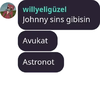 Sticker from Willy'nin melekleri