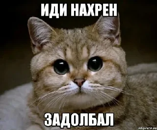 😾 emoji @kapechto Telegram sticker 18 of 119
