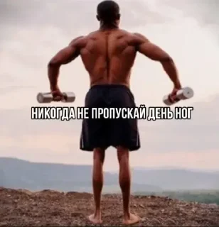 🦵 emoji Идеи для стикеров пишите nikita16420 Telegram sticker 4 of 20