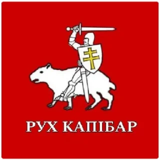 😁 emoji Анархим Telegram sticker 6 of 14