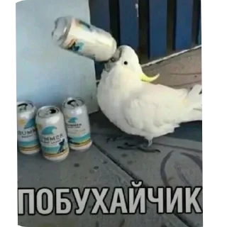 🐦 emoji Pupsiki 🤓😎💩🤫🧏🏿‍♂️ Telegram sticker 20 of 87