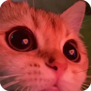 😂 emoji аьлаь Telegram sticker 5 of 8