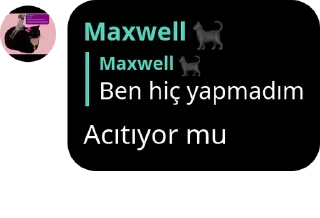 🪘 emoji GÜÇLÜ KAŞARLAR MUTLU YAŞARLAR� pack by @QuotLyBot Telegram sticker 15 of 36
