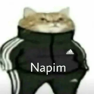 🤔 emoji @god_sayn @AsenaUserBot Paketi 1 Telegram sticker 10 of 120