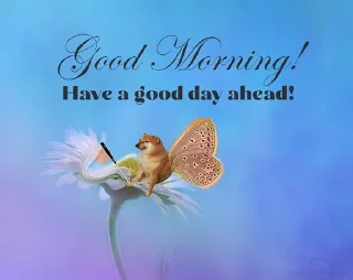 Sticker from good morning thank you how are you too