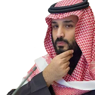 🤔 emoji محمد بن سلمان ✋ Telegram sticker 5 of 32