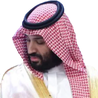 😖 emoji محمد بن سلمان ✋ Telegram sticker 23 of 32