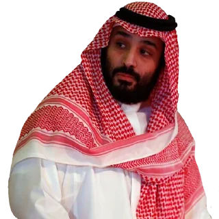 🤨 emoji محمد بن سلمان ✋ Telegram sticker 21 of 32