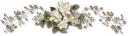 🍃 emoji @DoRar_Salafe فواصل Telegram sticker 13 of 33