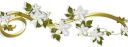 🍃 emoji @DoRar_Salafe فواصل Telegram sticker 12 of 33
