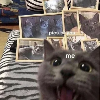 ❤️ emoji Wholesome Cats Telegram sticker 24 of 49