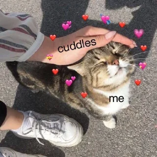 ❤️ emoji Wholesome Cats Telegram sticker 5 of 49